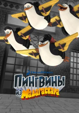 Пингвины из Мадагаскара